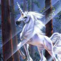 "The Living Unicorn".. when Ringling Bros. lied to me.